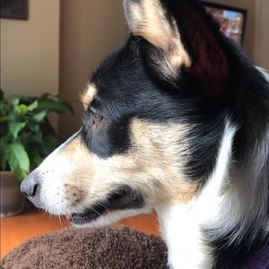 Meet your Posher, Asron